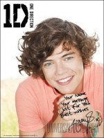 /album/one-direction-posters/harry-summer-days-jpg/