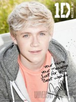 /album/one-direction-posters/niall-summer-days-jpg/